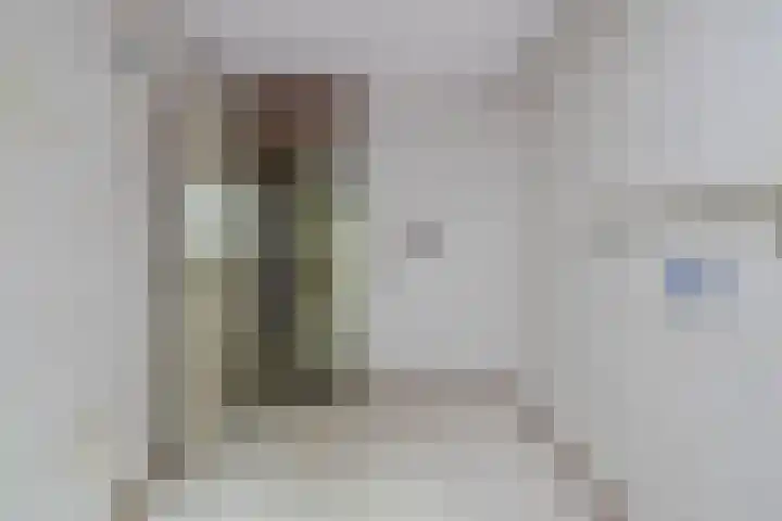 Oliemolen 49 Hoorn thumbnail 20