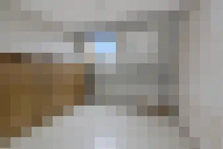 Oliemolen 49 Hoorn thumbnail 25