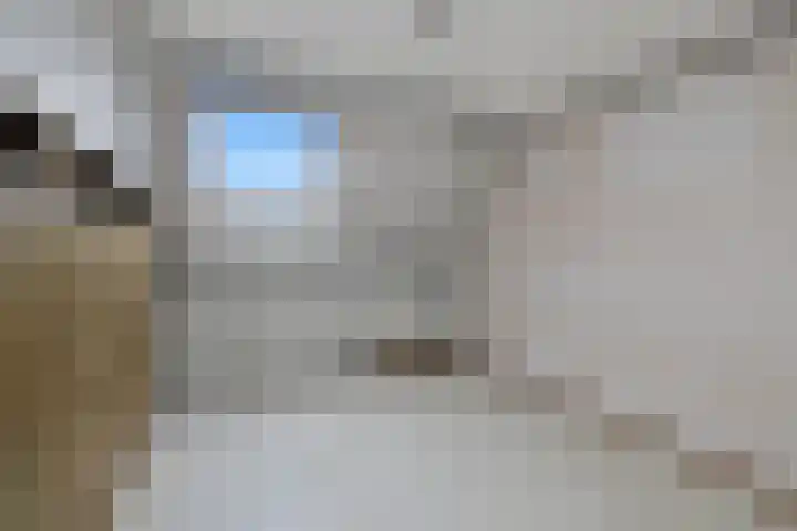 Oliemolen 49 Hoorn thumbnail 27