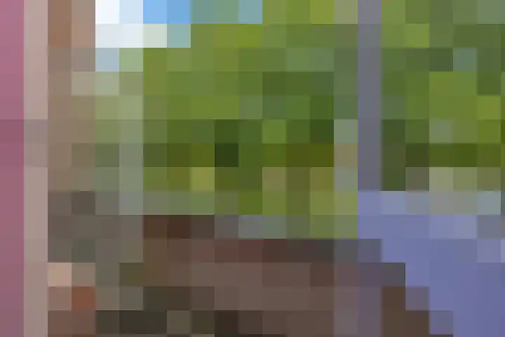 Oliemolen 49 Hoorn thumbnail 33
