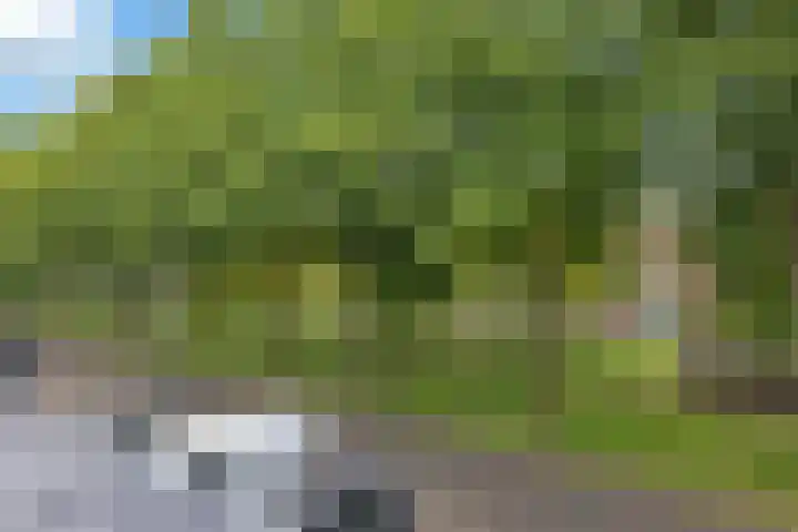 Oliemolen 49 Hoorn thumbnail 34