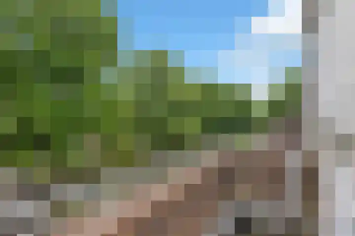 Oliemolen 49 Hoorn thumbnail 36