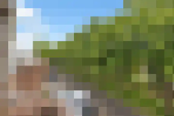 Oliemolen 49 Hoorn thumbnail 37