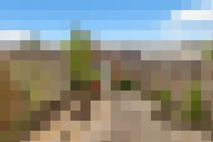 Oliemolen 49 Hoorn thumbnail 38
