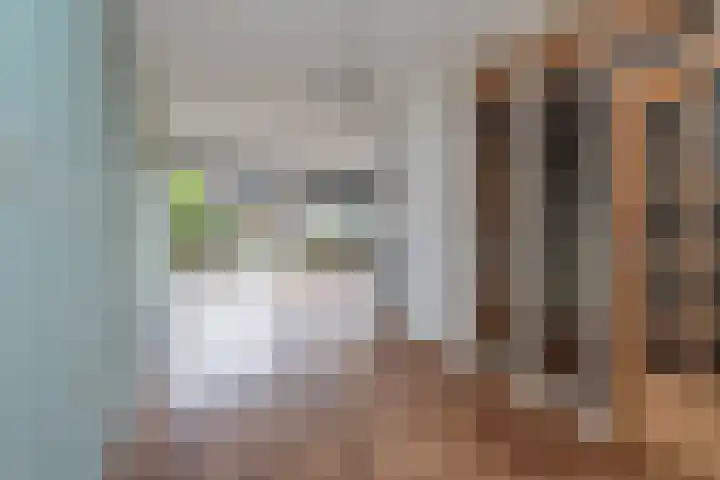 Oliemolen 49 Hoorn thumbnail 4