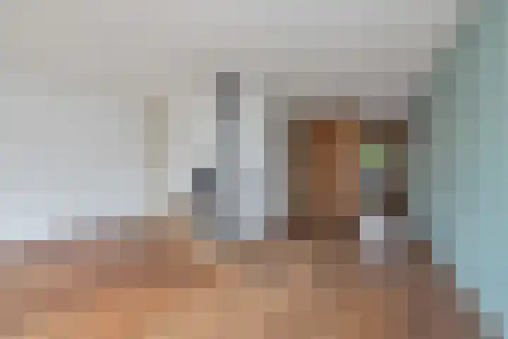 Oliemolen 49 Hoorn thumbnail 5