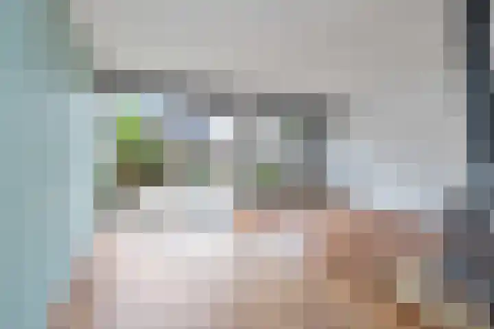 Oliemolen 49 Hoorn thumbnail 8
