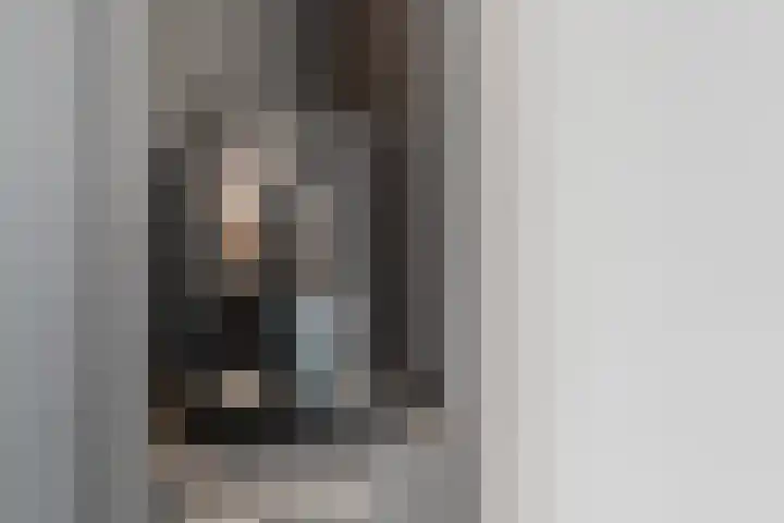 Oliemolen 5 Gemert thumbnail 12