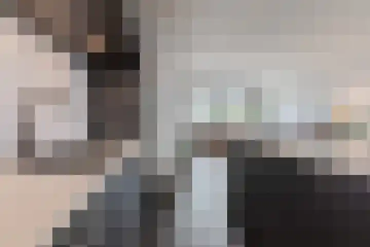Oliemolen 5 Gemert thumbnail 15