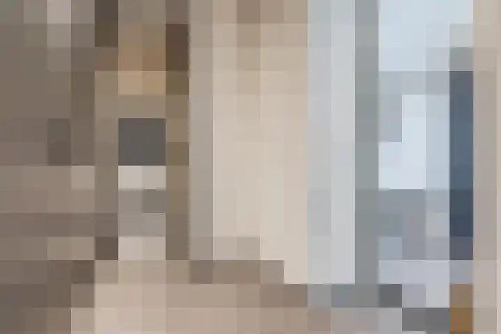 Oliemolen 5 Gemert thumbnail 19