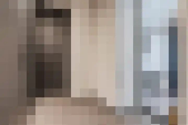 Oliemolen 5 Gemert thumbnail 20