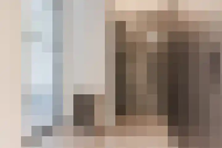 Oliemolen 5 Gemert thumbnail 21