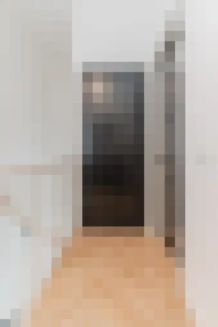 Oliemolen 5 Gemert thumbnail 24