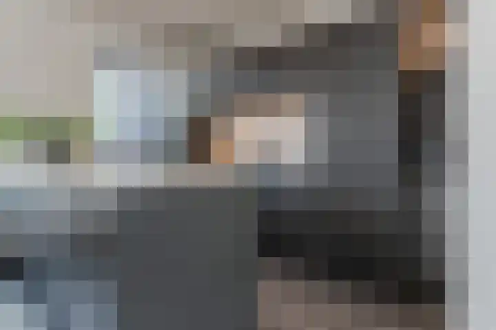 Oliemolen 5 Gemert foto 3