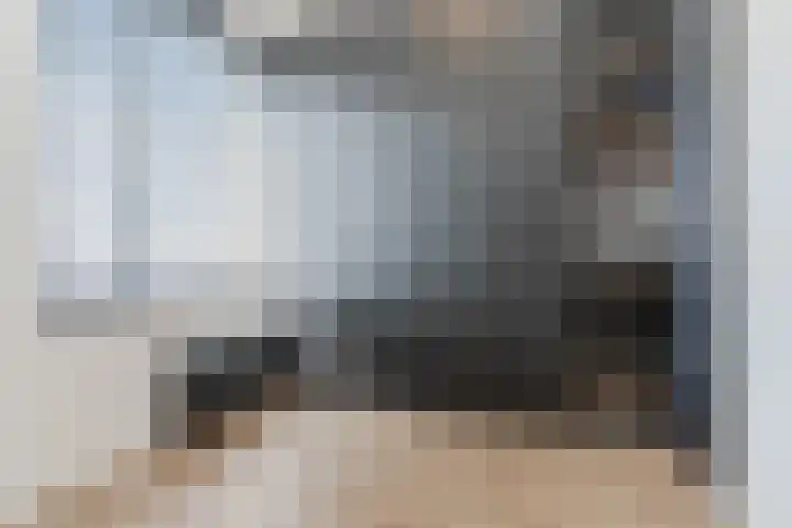 Oliemolen 5 Gemert thumbnail 32
