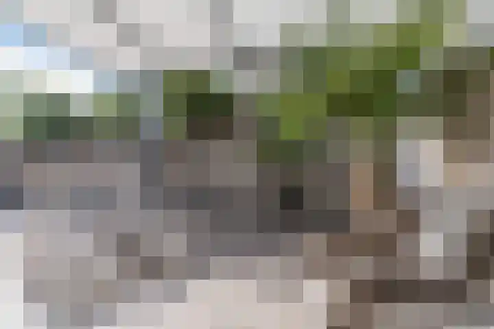 Oliemolen 5 Gemert thumbnail 35