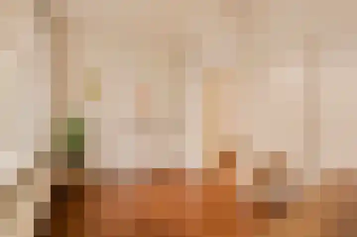 Oliemolen 5 Gemert thumbnail 37