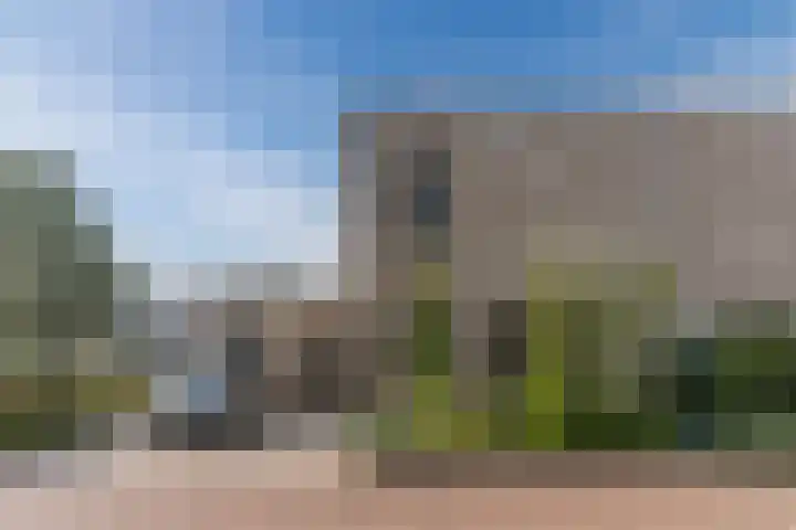 Oliemolen 5 Gemert thumbnail 37