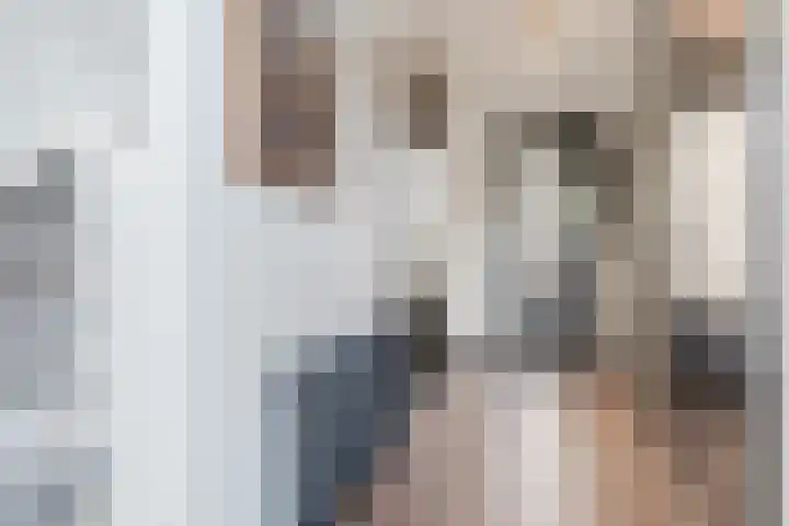 Oliemolen 5 Gemert thumbnail 6