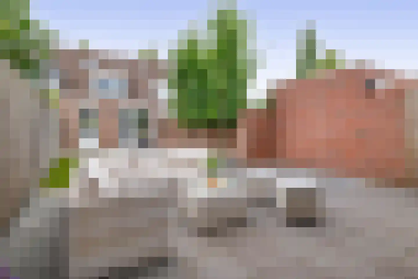 Oliemolen 52 Schijndel thumbnail 33
