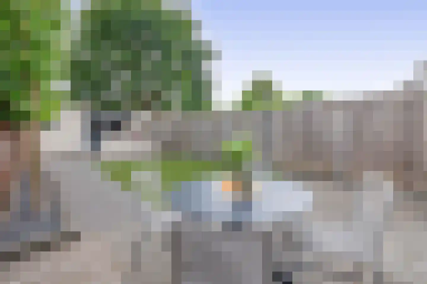 Oliemolen 52 Schijndel thumbnail 34