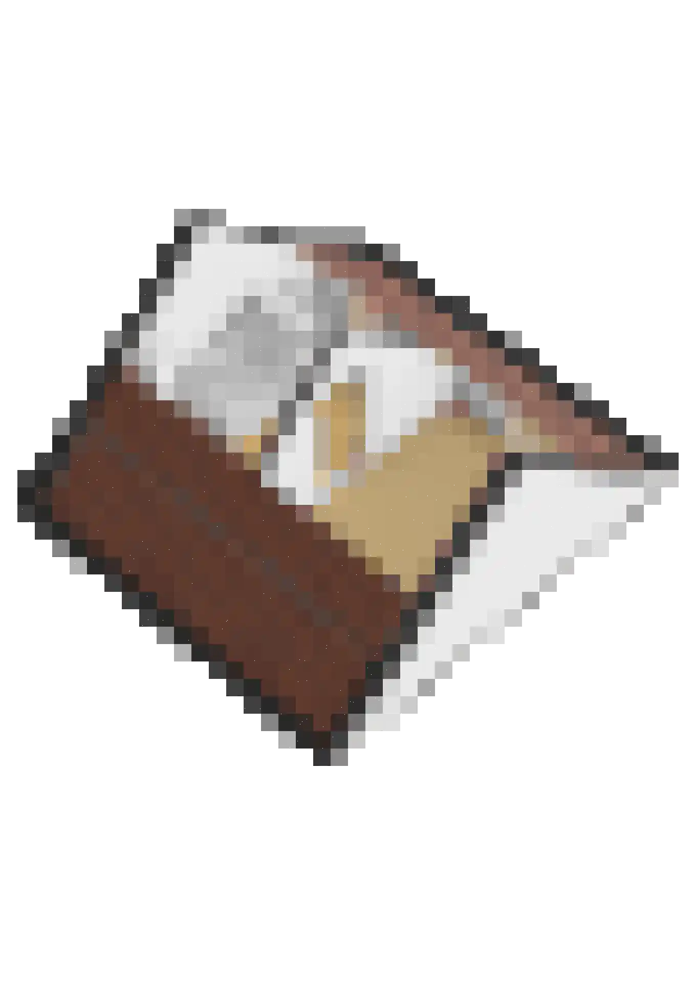 Oliemolen 52 Schijndel thumbnail 61