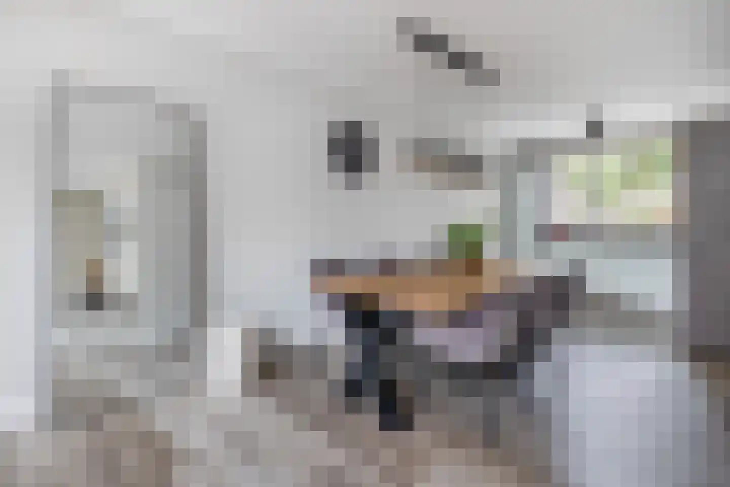 Oliemolen 52 Schijndel thumbnail 8