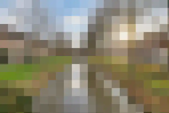 Oliemolen 55 Hoorn thumbnail 4