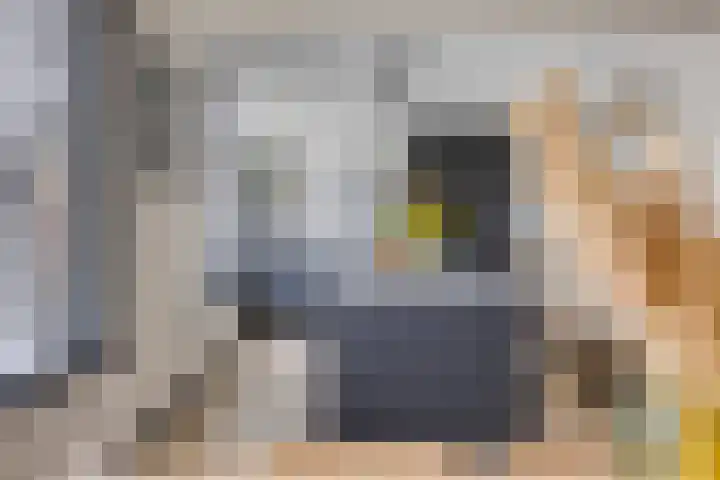 Oliemolen 6 Alkmaar thumbnail 12