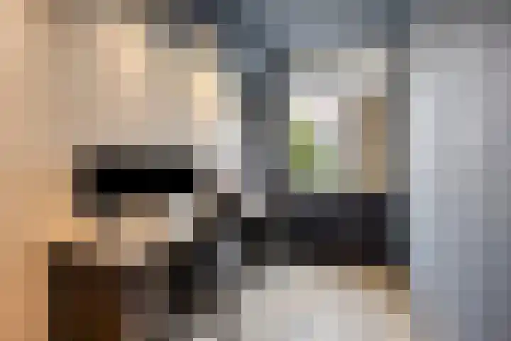 Oliemolen 6 Alkmaar thumbnail 14