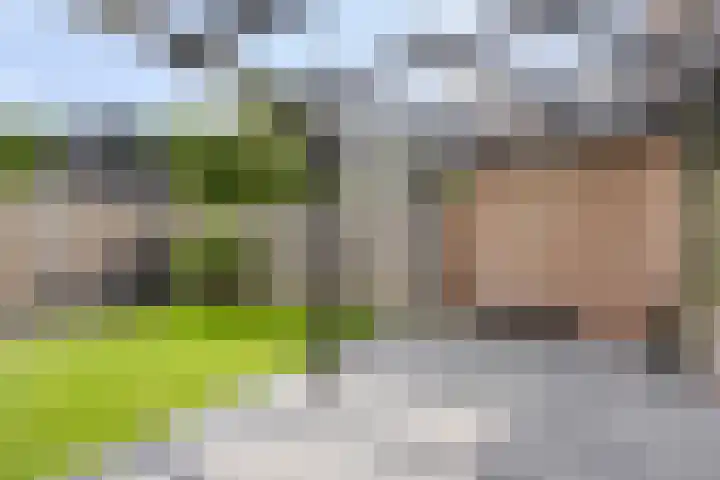 Oliemolen 6 Alkmaar thumbnail 17