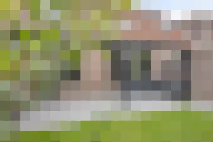 Oliemolen 6 Alkmaar thumbnail 18