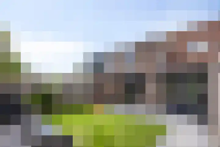 Oliemolen 6 Alkmaar thumbnail 19
