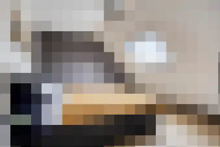 Oliemolen 6 Alkmaar thumbnail 20