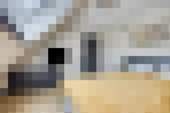 Oliemolen 6 Alkmaar thumbnail 21