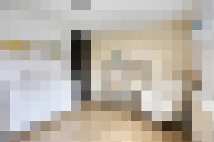Oliemolen 6 Alkmaar thumbnail 22