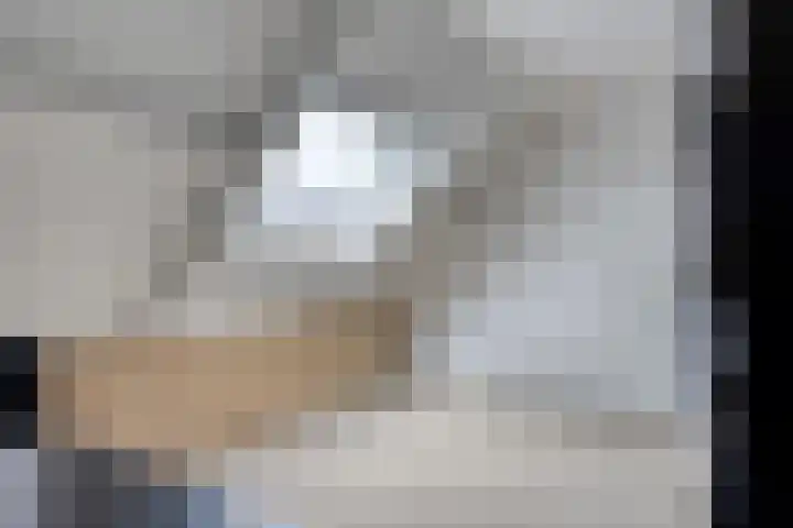 Oliemolen 6 Alkmaar thumbnail 24