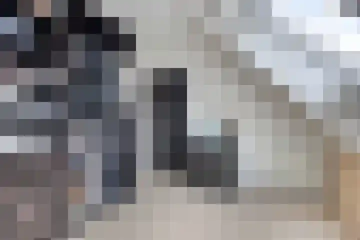 Oliemolen 6 Alkmaar thumbnail 25