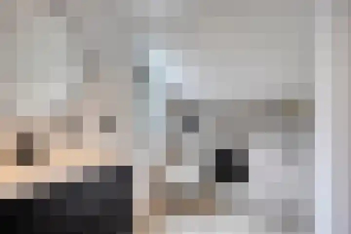 Oliemolen 6 Alkmaar thumbnail 28