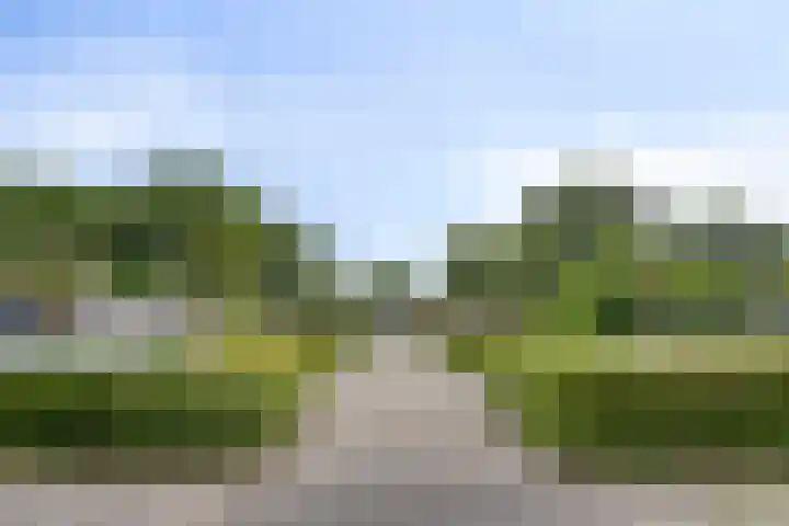 Oliemolen 6 Alkmaar thumbnail 31