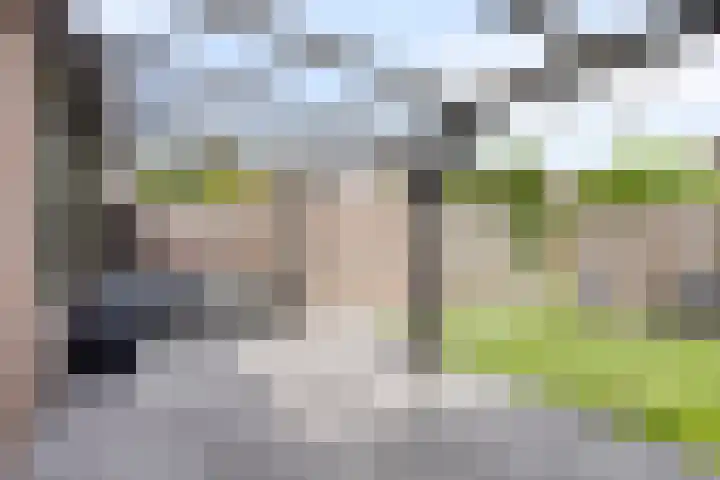 Oliemolen 6 Alkmaar thumbnail 4