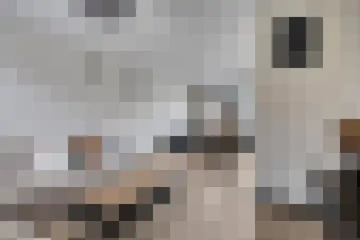 Oliemolen 6 Alkmaar thumbnail 6