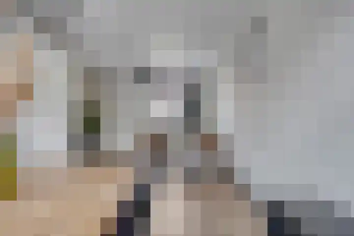 Oliemolen 6 Alkmaar thumbnail 8