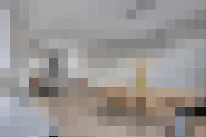 Oliemolen 6 Alkmaar thumbnail 9