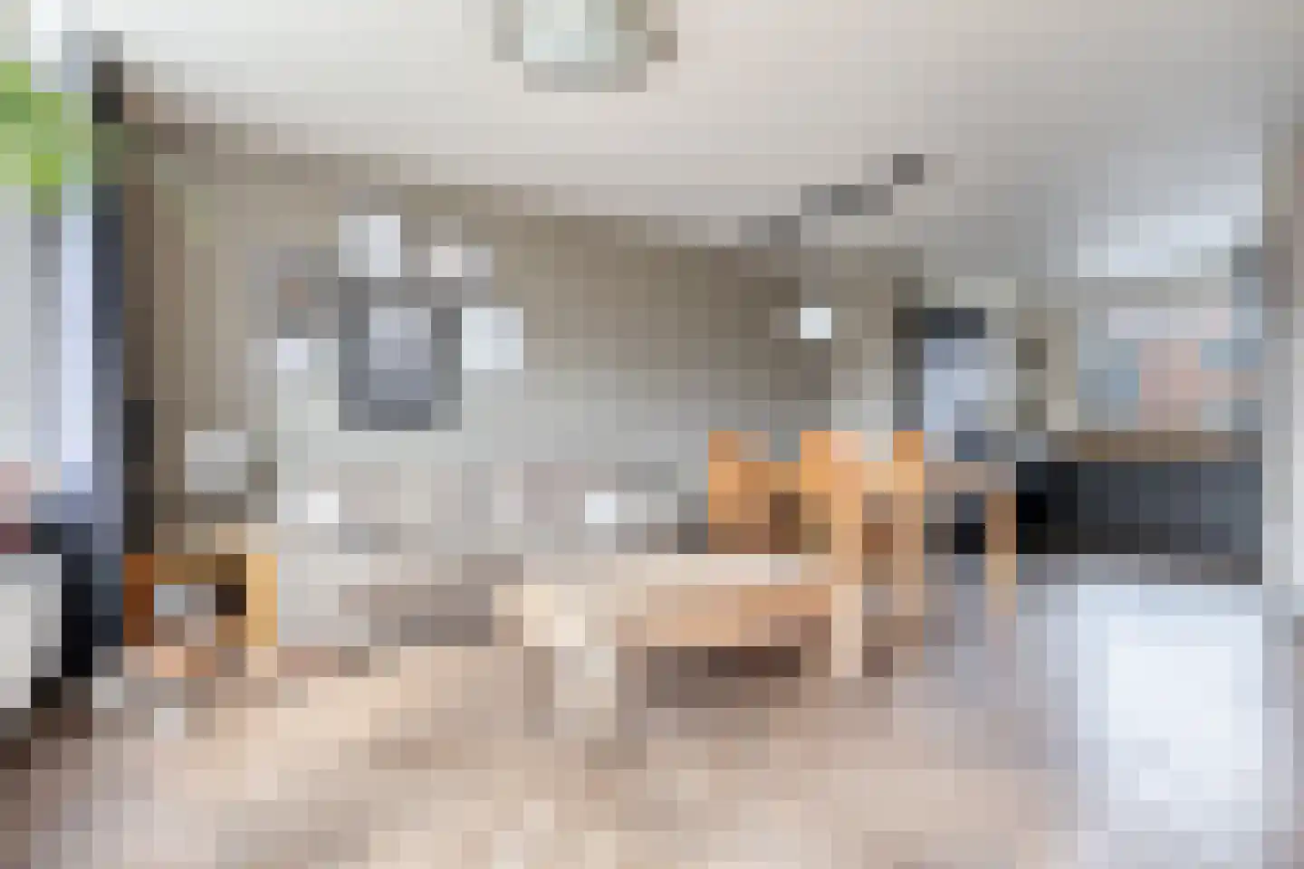 Oliemolen 6 Hoorn thumbnail 11