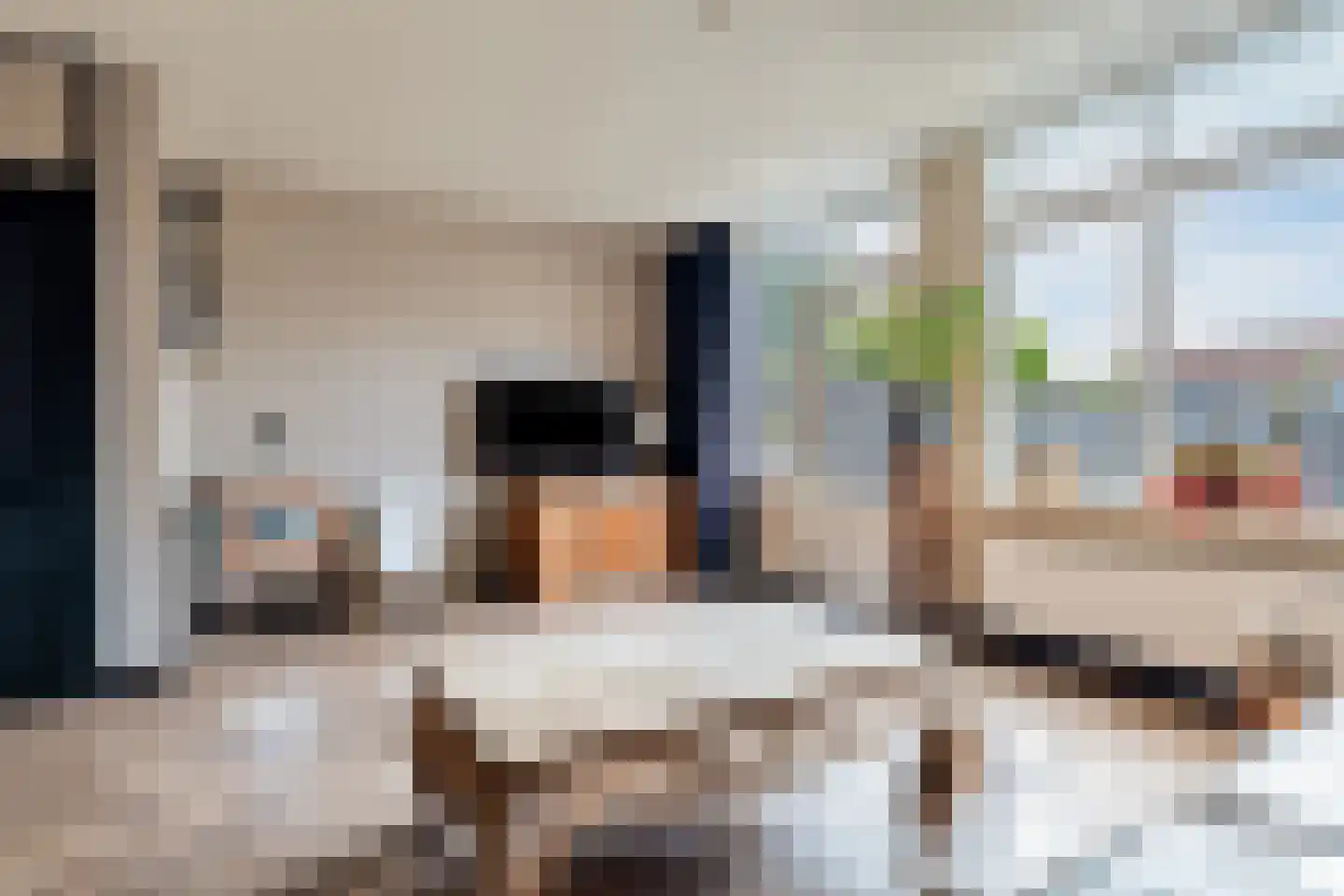Oliemolen 6 Hoorn thumbnail 12