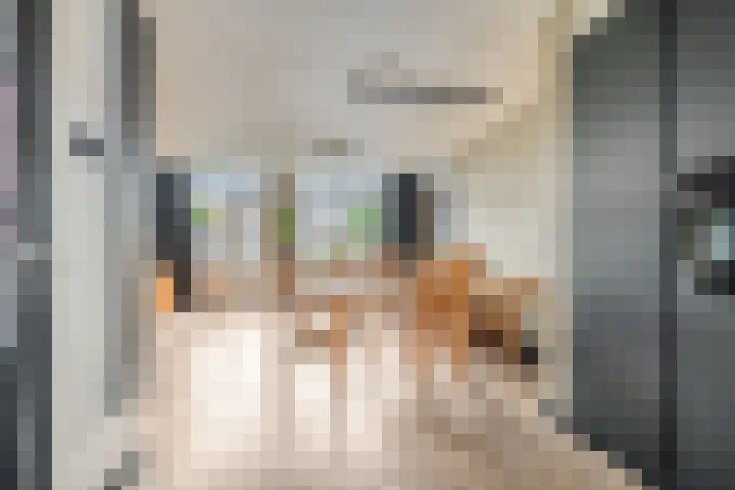 Oliemolen 6 Hoorn thumbnail 17