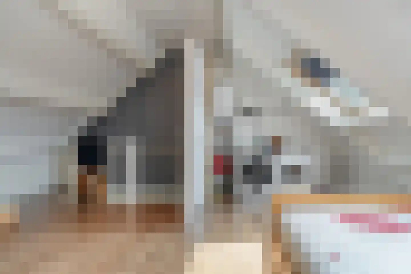 Oliemolen 6 Hoorn thumbnail 26