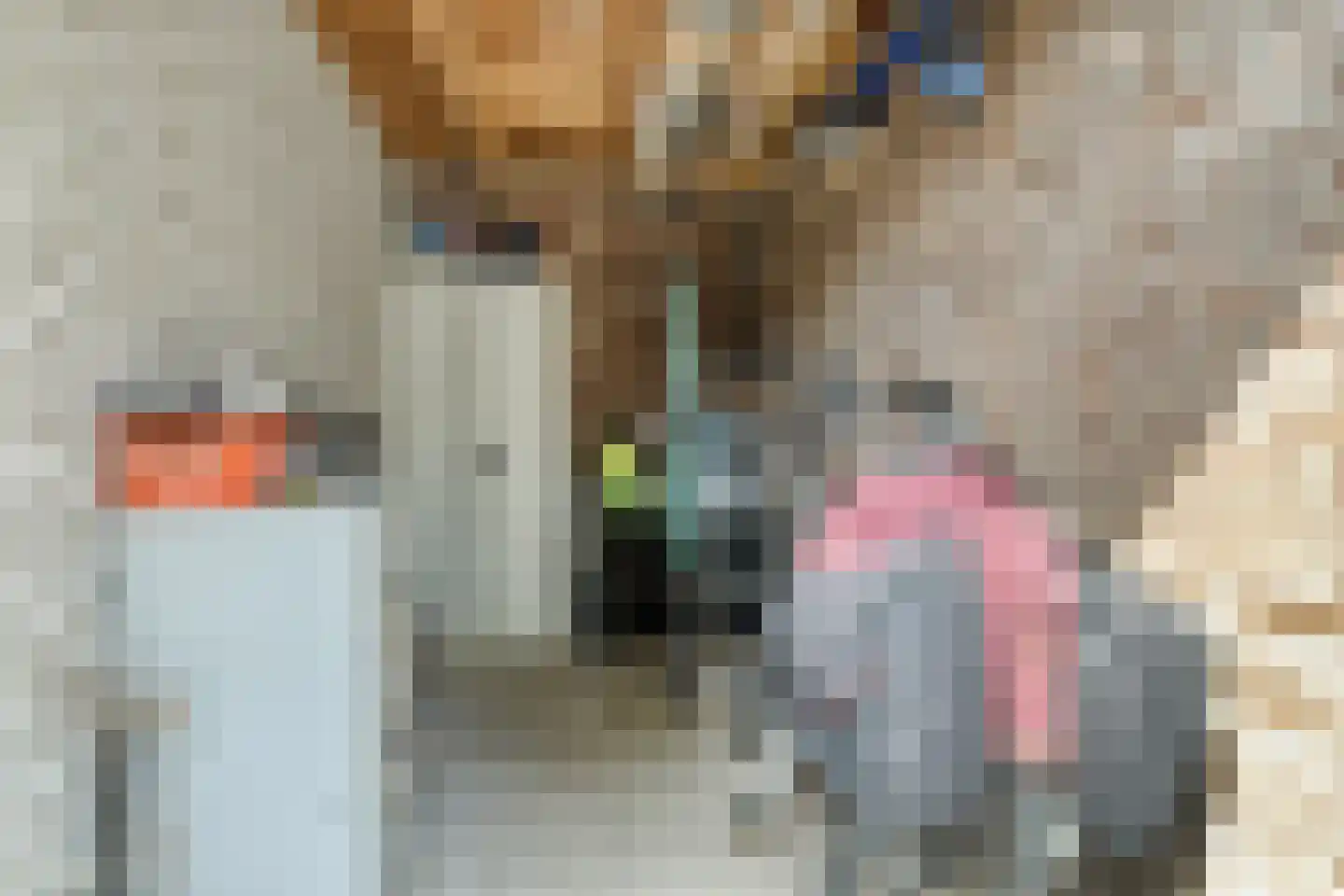 Oliemolen 6 Hoorn thumbnail 29