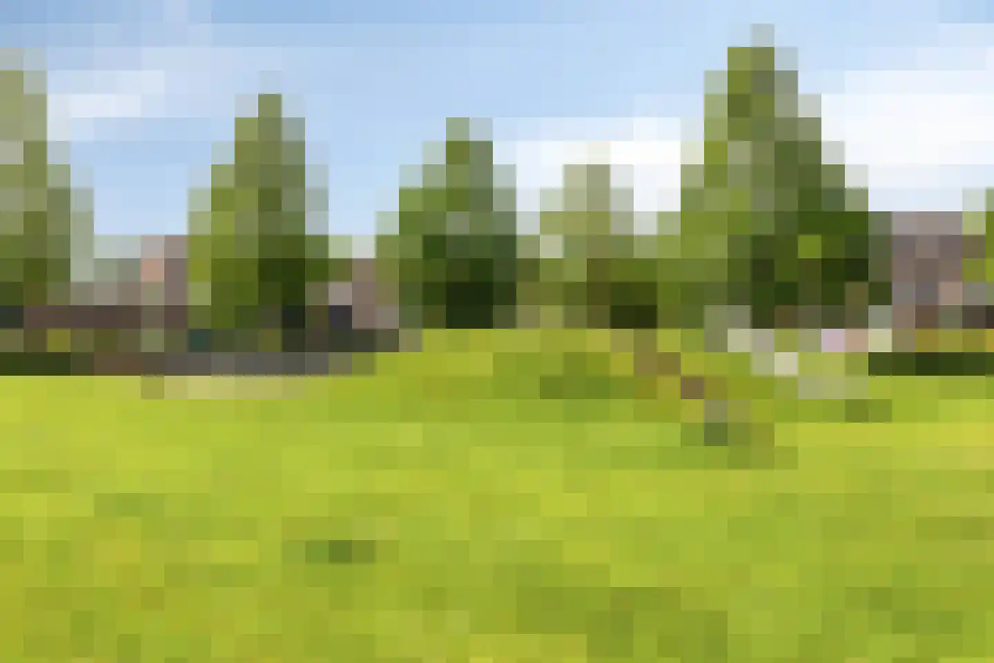 Oliemolen 6 Hoorn thumbnail 33
